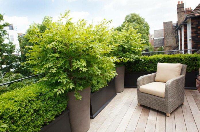Выбрать Как создать уютный сад на балконе и превратить его в зеленую зону в городской среде Как создать уютный сад на балконе и превратить его в зеленую зону в городской среде