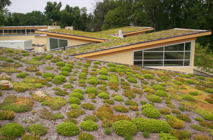 Как выбрать материалы для создания устойчивых зеленых крыш - советы специалистов