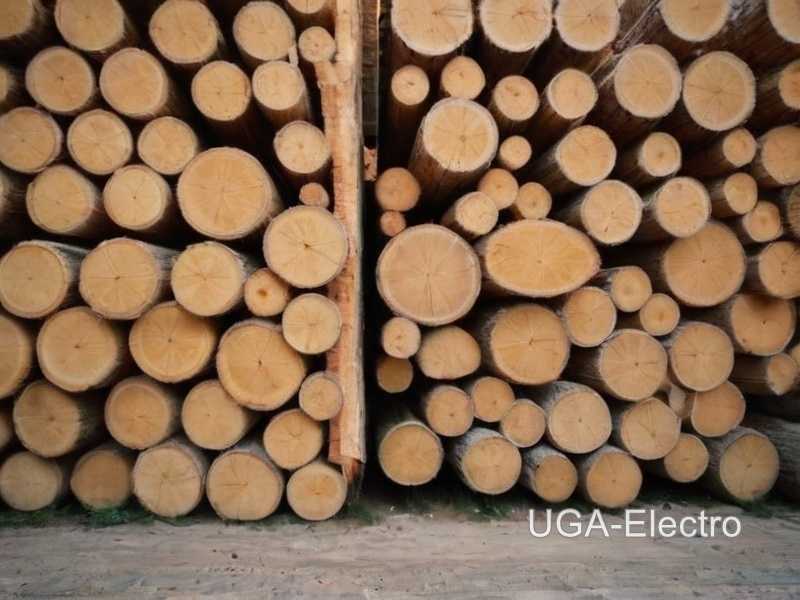 1. Выбор влагостойких пород древесины