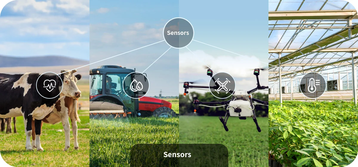 Интеллектуальные решения в сельском хозяйстве: сельскохозяйственные машины и оборудование