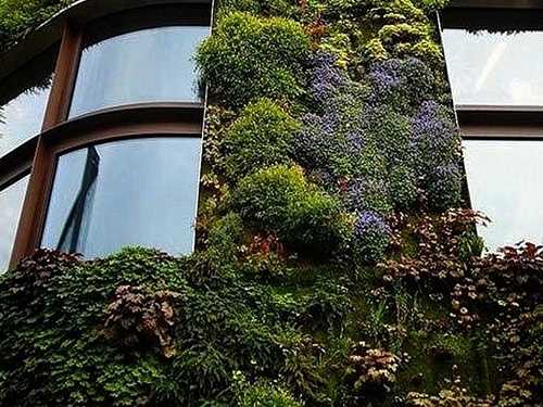 Вертикальное озеленение зданий: современные тенденции и преимущества